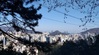 춘래불사춘