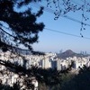 춘래불사춘